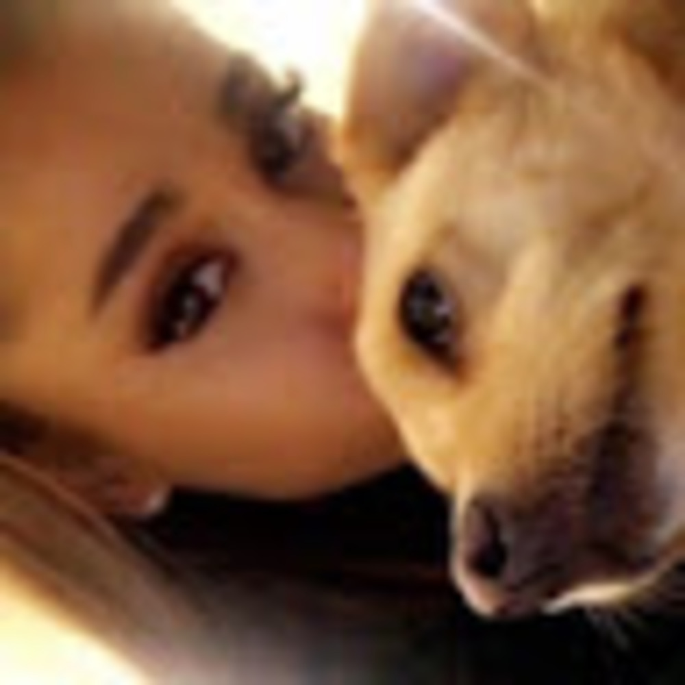 Meet your Posher, Officialarianatorvids